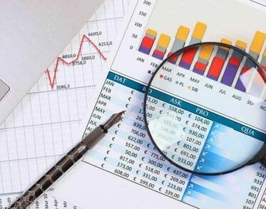 Економічна експертиза